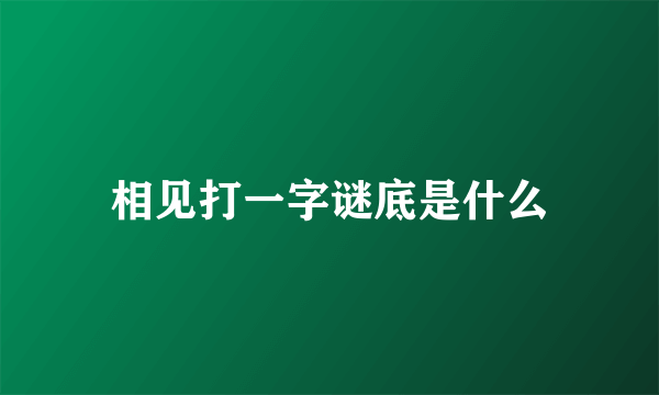 相见打一字谜底是什么