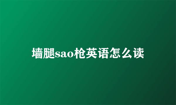 墙腿sao枪英语怎么读