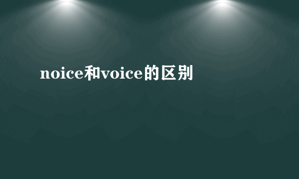 noice和voice的区别