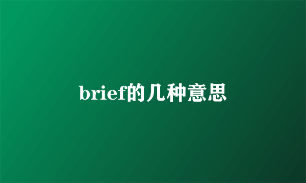 brief的几种意思