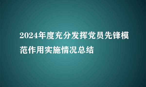 2024年度充分发挥党员先锋模范作用实施情况总结
