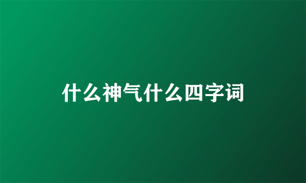 什么神气什么四字词