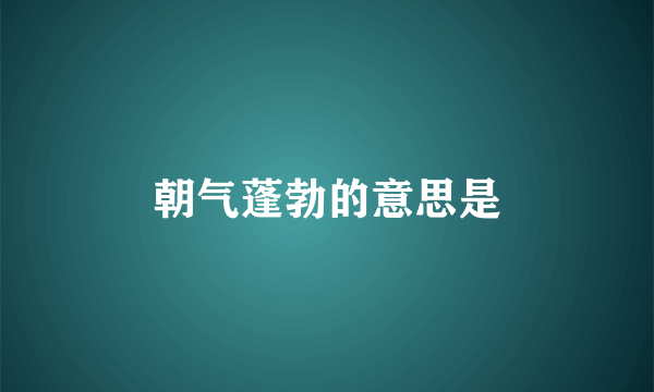 朝气蓬勃的意思是