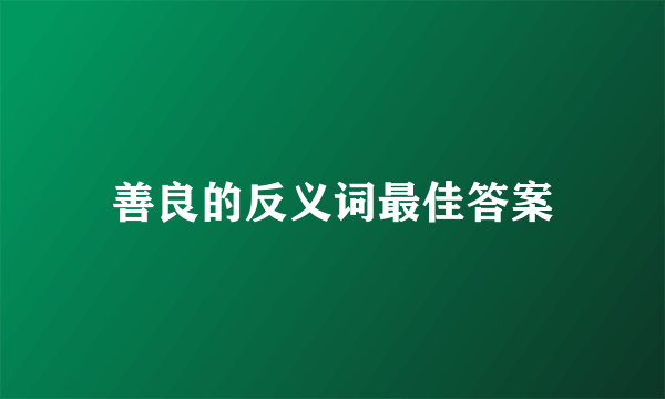 善良的反义词最佳答案