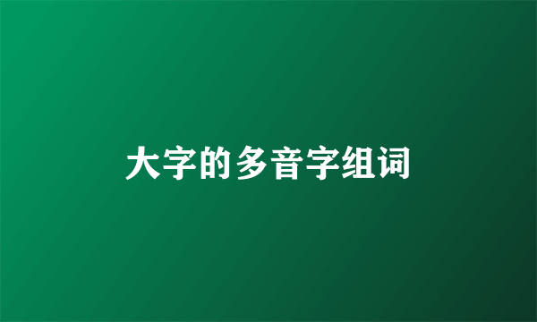 大字的多音字组词