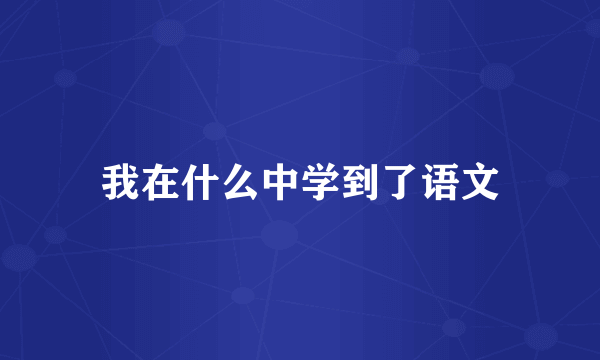 我在什么中学到了语文