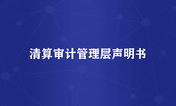 清算审计管理层声明书