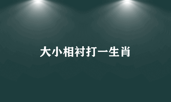 大小相衬打一生肖