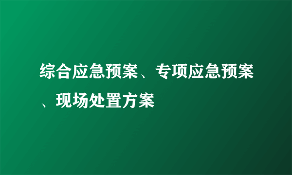 综合应急预案、专项应急预案、现场处置方案