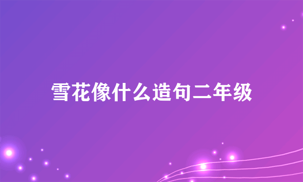 雪花像什么造句二年级