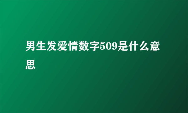 男生发爱情数字509是什么意思