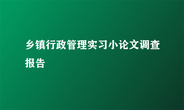乡镇行政管理实习小论文调查报告