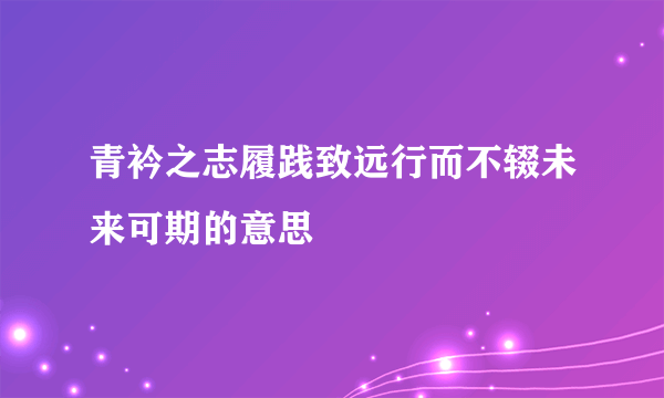 青衿之志履践致远行而不辍未来可期的意思