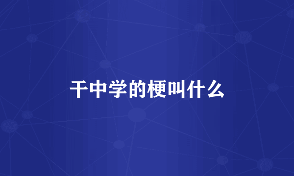 干中学的梗叫什么