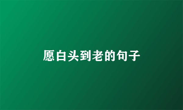 愿白头到老的句子
