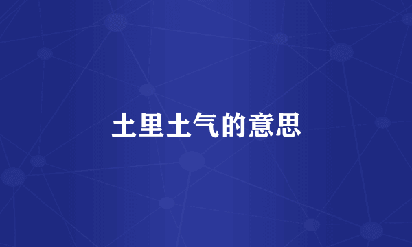 土里土气的意思