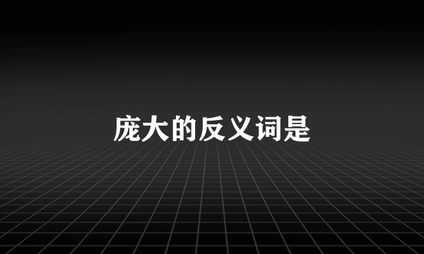 庞大的反义词是