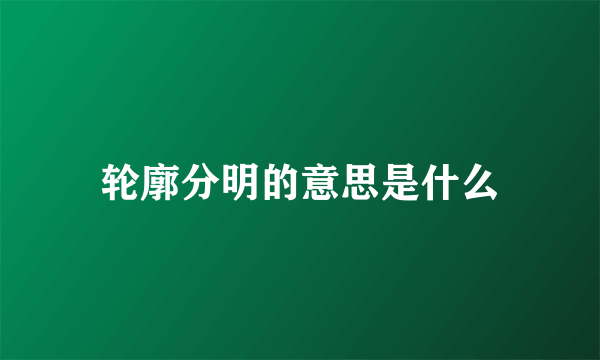 轮廓分明的意思是什么