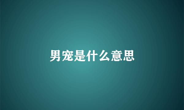 男宠是什么意思