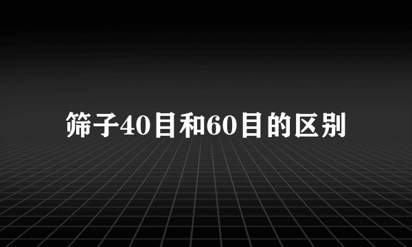 筛子40目和60目的区别