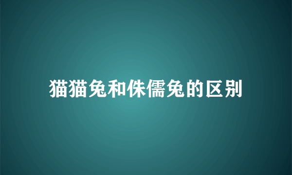 猫猫兔和侏儒兔的区别
