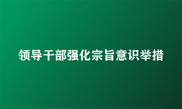 领导干部强化宗旨意识举措