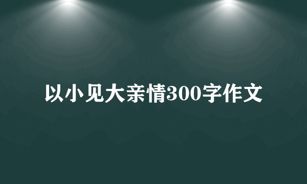 以小见大亲情300字作文