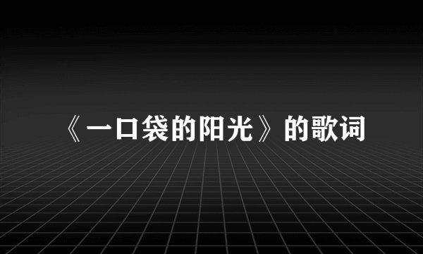 《一口袋的阳光》的歌词