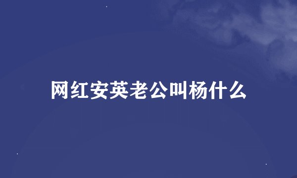 网红安英老公叫杨什么