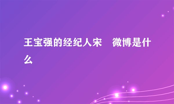 王宝强的经纪人宋喆微博是什么