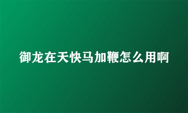 御龙在天快马加鞭怎么用啊