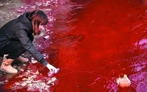 广西百色乐里河一夜变成血红色,这是什么原因造成的?