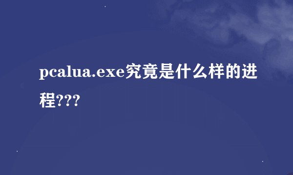 pcalua.exe究竟是什么样的进程???