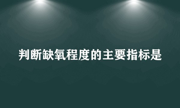 判断缺氧程度的主要指标是