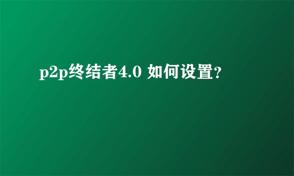 p2p终结者4.0 如何设置？
