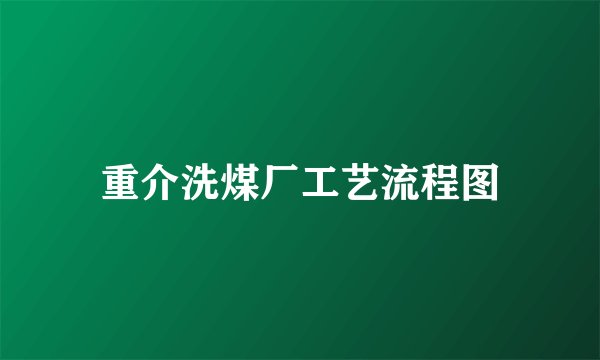 重介洗煤厂工艺流程图