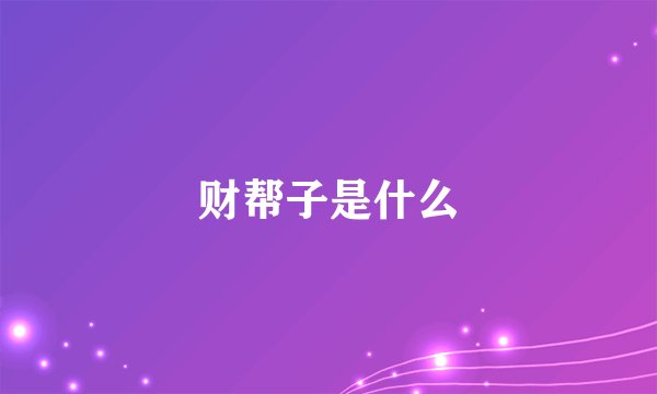 财帮子是什么