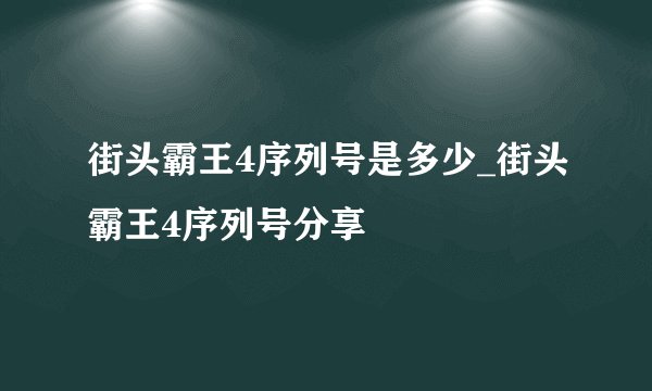 街头霸王4序列号是多少_街头霸王4序列号分享