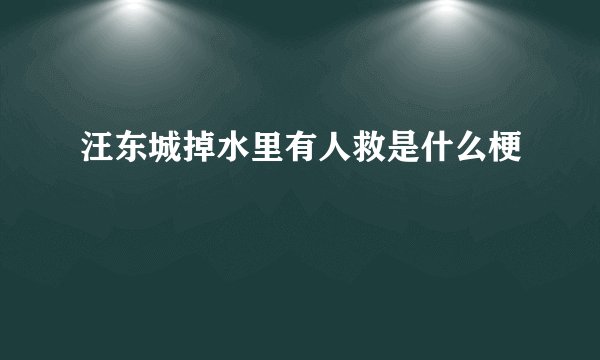 汪东城掉水里有人救是什么梗