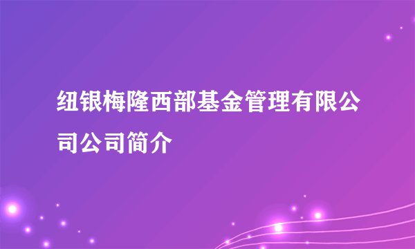 纽银梅隆西部基金管理有限公司公司简介