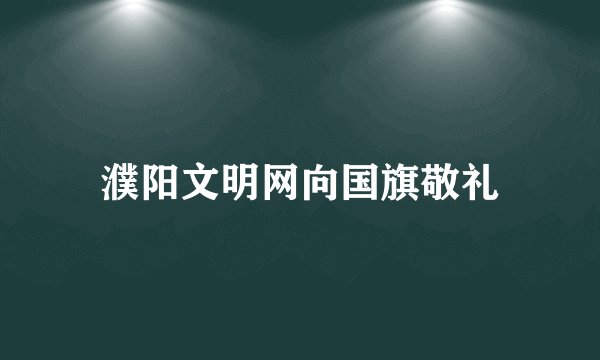 濮阳文明网向国旗敬礼
