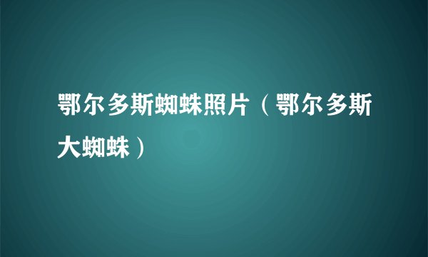 鄂尔多斯蜘蛛照片（鄂尔多斯大蜘蛛）