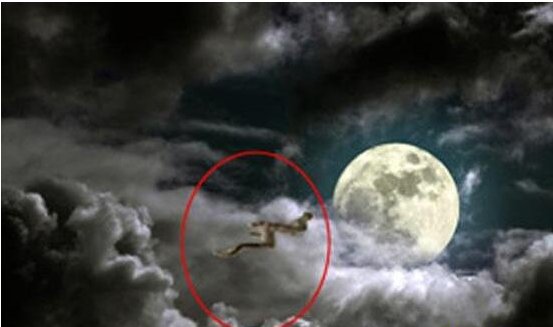 夜猫口神龙事件,龙的存在是否存在过?