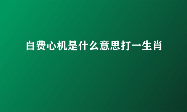 白费心机是什么意思打一生肖