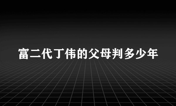 富二代丁伟的父母判多少年