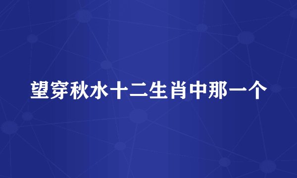 望穿秋水十二生肖中那一个