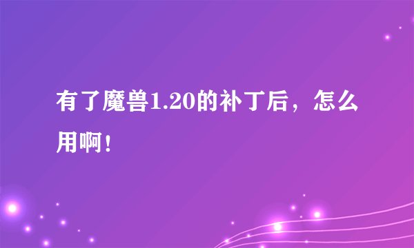 有了魔兽1.20的补丁后，怎么用啊！