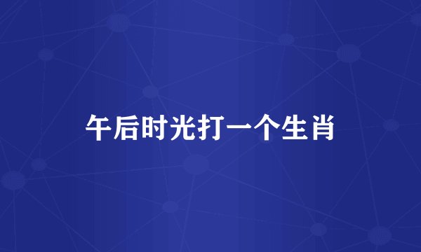 午后时光打一个生肖