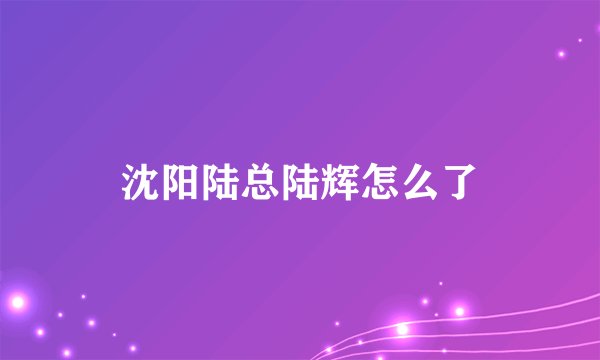 沈阳陆总陆辉怎么了