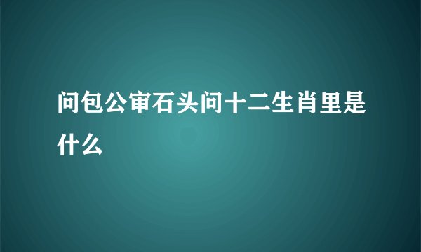 问包公审石头问十二生肖里是什么
